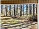 View of the backyard with mature trees from the back porch at 230 White Rd, Fayetteville, GA 30214