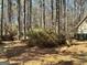 Heavily wooded backyard provides privacy and a sense of seclusion at 230 White Rd, Fayetteville, GA 30214