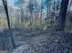 Backyard with dense woods, with shed nestled among the trees, offering privacy and a natural setting at 114 Rolling Grn, Peachtree City, GA 30269