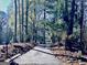 Charming home visible down a long, private driveway at 114 Rolling Grn, Peachtree City, GA 30269