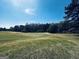 Expansive green golf course with a serene atmosphere at 114 Rolling Grn, Peachtree City, GA 30269