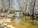 Picturesque creek with a charming bridge in a peaceful setting at 114 Rolling Grn, Peachtree City, GA 30269