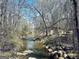 Lushly bordered creek offering a tranquil view from the property at 114 Rolling Grn, Peachtree City, GA 30269
