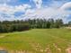 Backyard view featuring lush green land surrounded by tall trees at 296 Beavers Rd, Grantville, GA 30220