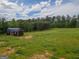Backyard view featuring lush green land and a shed surrounded by tall trees at 296 Beavers Rd, Grantville, GA 30220