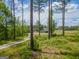 Distant view of a charming two-story home nestled among the trees at 296 Beavers Rd, Grantville, GA 30220
