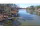 Scenic view of a calm lake with a dock, framed by trees in early spring at 40 Circle Dr, Hampton, GA 30228