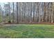 Lawn with mature trees at 215 Farr Lake Dr, Tyrone, GA 30290