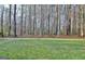 Large backyard with mature trees at 215 Farr Lake Dr, Tyrone, GA 30290