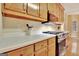 Bright kitchen featuring wood cabinets, light countertops, and stainless steel range at 215 Farr Lake Dr, Tyrone, GA 30290