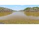 A tranquil lake surrounded by lush trees offers a peaceful escape into nature at 125 Tall Timber Ct, Fayetteville, GA 30215