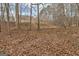 View of the wooded backyard with the house in the background at 106 Deadwood Way, Palmetto, GA 30268