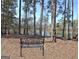 Relaxing backyard view with a bench, trees, and nearby lake, perfect for unwinding and enjoying the outdoors at 82 Airmont Dr, Sharpsburg, GA 30277