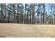 This large, grassy backyard features an open space ideal for play or landscaping at 82 Airmont Dr, Sharpsburg, GA 30277