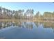 Picturesque pond reflects the surrounding trees, creating a serene and natural setting at 82 Airmont Dr, Sharpsburg, GA 30277