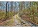 Long driveway winding through a forest at 150 Gill Ln, Stockbridge, GA 30281