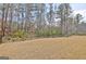 Fully fenced backyard offering privacy and a safe space for outdoor activities at 446 Bandon Way, Peachtree City, GA 30269