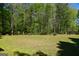 Sprawling backyard featuring lush green lawn and mature trees, offering privacy and space for outdoor activities at 332 Black Willow Ct, Locust Grove, GA 30248