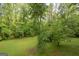 A lush backyard with a tree growing in the middle of a lawn at 1972 Cox Dr, Austell, GA 30168