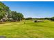 Picturesque golf course view from the property at 305 Worthing Ln, Mcdonough, GA 30253