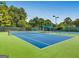 Well-maintained blue tennis court surrounded by green landscaping and tall lighting at 305 Worthing Ln, Mcdonough, GA 30253