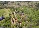 Aerial view of a secluded estate surrounded by lush trees at 1561 Aiken Chafin Ln, Mcdonough, GA 30252