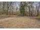 Expansive backyard with mature trees, offering a serene and private outdoor space at 650 Malcom Rd, Covington, GA 30014