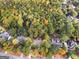 Aerial view of a well-maintained neighborhood with mature trees and lush greenery at 1300 Lakehaven Pkwy, Mcdonough, GA 30253