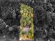 Aerial view of a home with mature trees, a lush backyard, and surrounding greenery at 1300 Lakehaven Pkwy, Mcdonough, GA 30253