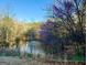 Scenic pond with a fountain and blooming trees, creating a serene and picturesque view at 1521 Ashbury Park Dr, Hoschton, GA 30548