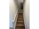 Carpeted staircase with white railings leading to the upper level at 11523 Kimberly Way # 6, Hampton, GA 30228