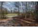 Scenic landscape view showcases a tranquil roadside edged with lush trees and open fields at 31 Pecan Lake Ct, Sharpsburg, GA 30277
