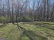 Large grassy backyard with chain link fence backing up to wooded area at 946 Creek Run Pl, Temple, GA 30179