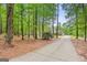 Long driveway leading to a home nestled among mature trees, offering privacy and a secluded setting at 643 Old Greenville Rd, Fayetteville, GA 30215