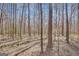 View of lot with mature trees and natural ground cover, offering privacy and a serene setting at 140 Rockglen Ct, Fayetteville, GA 30215