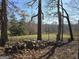 Scenic backyard featuring mature trees, a stone wall, and open space, creating a peaceful, natural retreat at 1761 Reavesville Rd, Bowdon, GA 30108