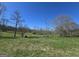 Picture of a plot of land with trees and grass at 1761 Reavesville Rd, Bowdon, GA 30108