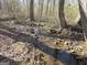 Peaceful stream flowing through a wooded area, showcasing the natural beauty of the property at 1761 Reavesville Rd, Bowdon, GA 30108