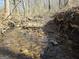 Clear creek flowing over rocks and pebbles, surrounded by the peaceful woods at 1761 Reavesville Rd, Bowdon, GA 30108