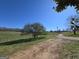 Long dirt driveway, leading into a grassy field and a large green tree under a clear sky at 1761 Reavesville Rd, Bowdon, GA 30108