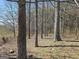 Wooded area with mature trees, offering privacy and a serene natural setting at 1761 Reavesville Rd, Bowdon, GA 30108