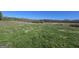 Open field of tall grass surrounded by trees and fencing on a sunny day at 1761 Reavesville Rd, Bowdon, GA 30108