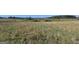 Expansive land view showcasing a mix of pasture and meadows, ideal for agricultural use at 1761 Reavesville Rd, Bowdon, GA 30108