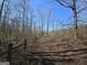 A nature path lined with trees leads through a peaceful, wooded area at 1761 Reavesville Rd, Bowdon, GA 30108