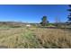 Picturesque lot featuring a home in the distance and mature shade trees at 1761 Reavesville Rd, Bowdon, GA 30108