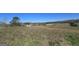 Scenic lot with a well-maintained lawn and distant view of the house at 1761 Reavesville Rd, Bowdon, GA 30108