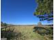 Open pasture land featuring a fence and mature trees defining the property line at 1761 Reavesville Rd, Bowdon, GA 30108