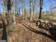 Scenic property view with mature trees and lush foliage near a stone wall at 1761 Reavesville Rd, Bowdon, GA 30108