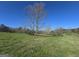 Expansive, grassy field with large trees providing shade on the property at 1761 Reavesville Rd, Bowdon, GA 30108