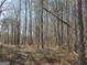 Dense wooded area with towering trees and a thick underbrush of natural growth at 1761 Reavesville Rd, Bowdon, GA 30108
